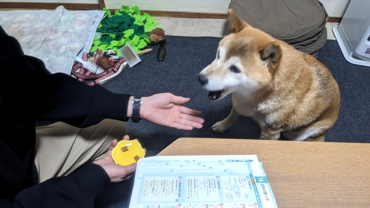 フリースクールNOBINOBI/新潟市 不登校支える居場所＆学び場