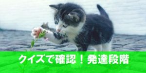 発達段階の課題がわかればイライラ解消にも役立つ！小学校５～６年生向けクイズ