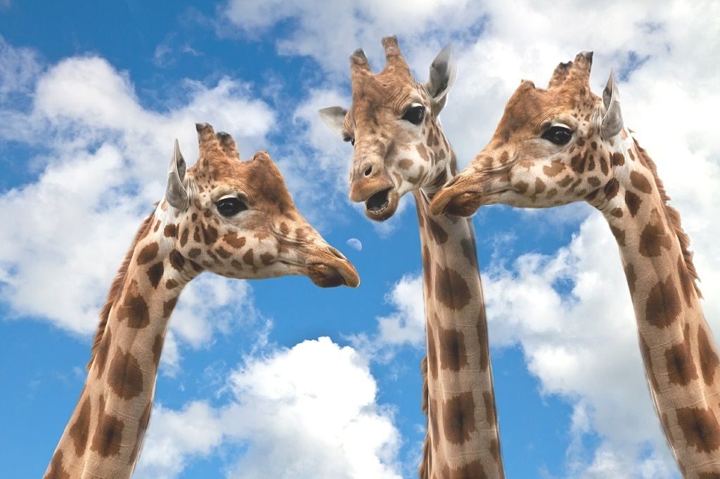 新潟市 中央区 小学生 中学生 マンツーマン 個別指導 学習塾 補習塾 オンライン指導 家庭教師 スクール NOBINOBI 鳥屋野小学校 上山小学校 曽野木小学校 上山中学校 中学 数学 一次方程式 道のり・速さ・時間 文章題 3種類 イメージ画像