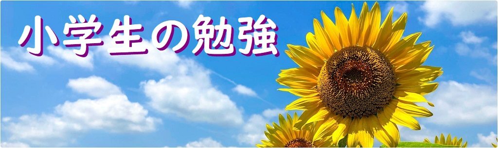記事カテゴリー「小学生の勉強」案内画像