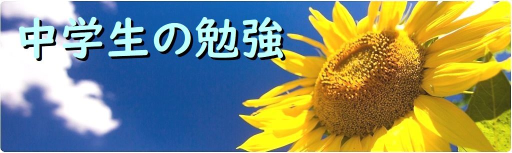 カテゴリー「中学生の勉強」の案内画像
