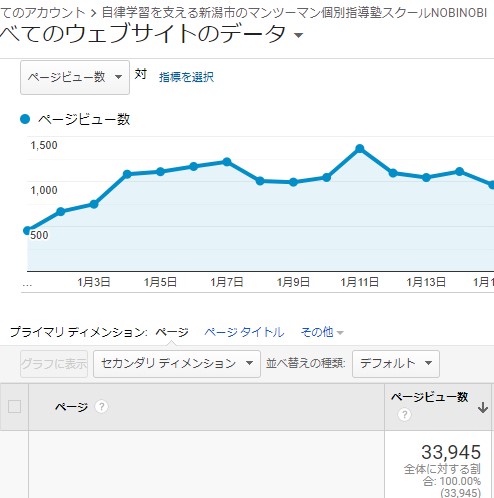 新潟市の個別指導塾スクールNOBINOBIの2021年1月月間PVデータ