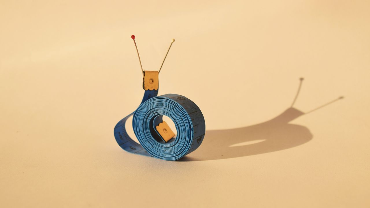 新潟市 中央区 小学生 中学生 マンツーマン 個別指導 学習塾 補習塾 オンライン指導 家庭教師 スクール NOBINOBI 鳥屋野小学校 上山小学校 曽野木小学校 上山中学校 小学生 思考力 鍛え方 理科 生物 カタツムリ イメージ画像