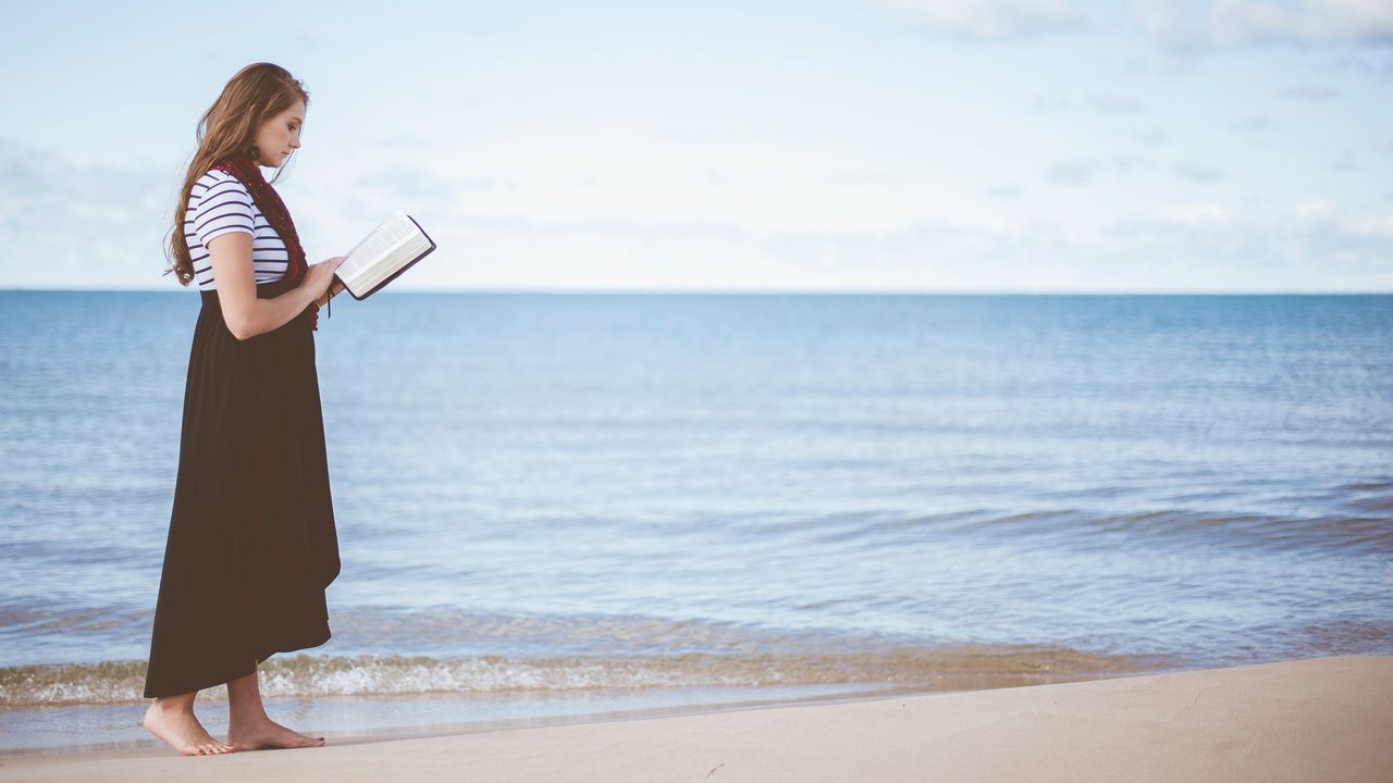 新潟市 中央区 小学生 中学生 マンツーマン 個別指導 学習塾 補習塾 オンライン指導 家庭教師 スクール NOBINOBI 鳥屋野小学校 上山小学校 曽野木小学校 上山中学校 小学生 思考力 考える力 イメージ画像