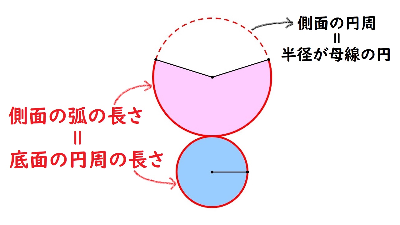 個別指導塾 新潟市 スクールNOBINOBI 中学 数学 図形 立体 円錐 展開図 側面弧 底面円周 解説図