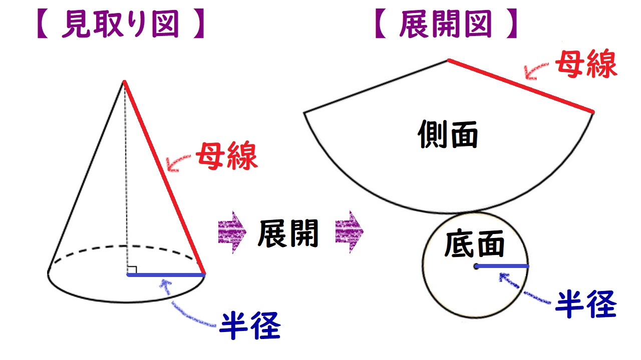 個別指導塾 新潟市 スクールNOBINOBI 中学 数学 図形 立体 円錐 見取り図 展開図 解説図