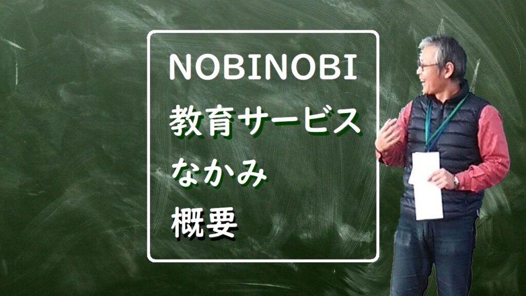 新潟市 中央区 マンツーマン 個別指導 学習塾 補習塾 オンライン指導 家庭教師 スクール NOBINOBI 教育サービス なかみ 概要 イメージ画像
