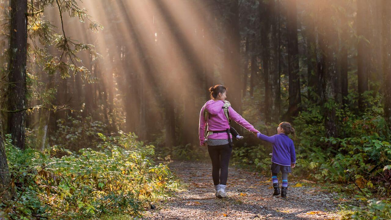 個別指導塾 新潟市 スクールNOBINOBI 勉強 効率 上げる 具体的 方法 アイビー・リー・メソッド メリット デメリット イメージ画像